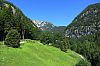 IMG_3772.JPG